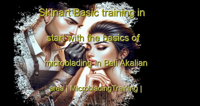 Skinart Basic training in start with the basics of microblading in Beli Akalian area | MicrobladingTraining | MicrobladingClasses | SkinartTraining-India